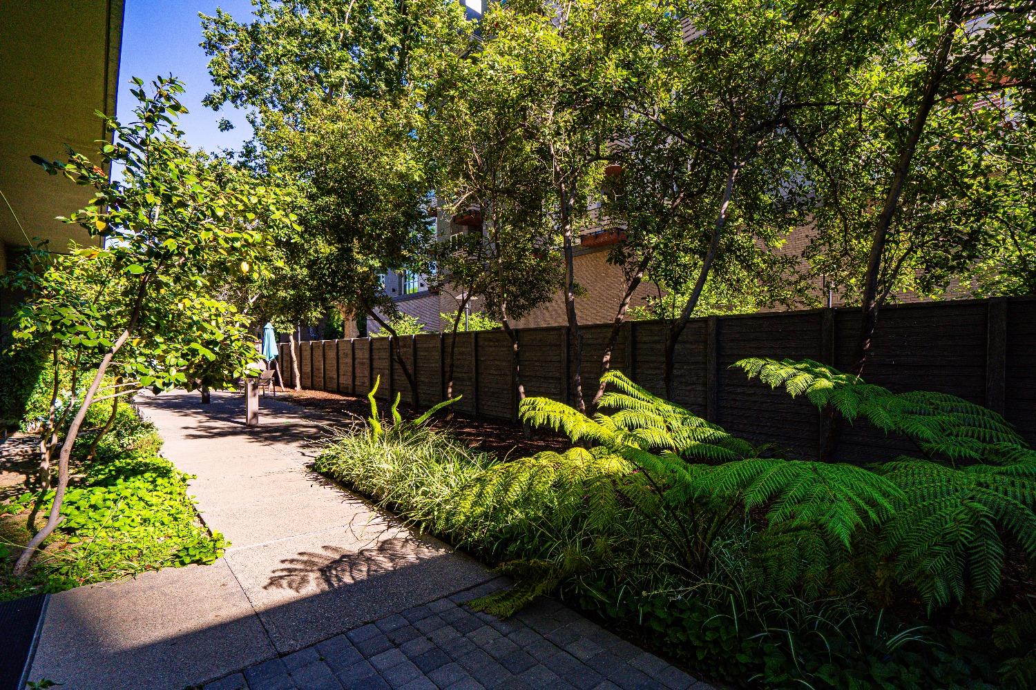 Photo #29: 223091067 Listing: Photo #29