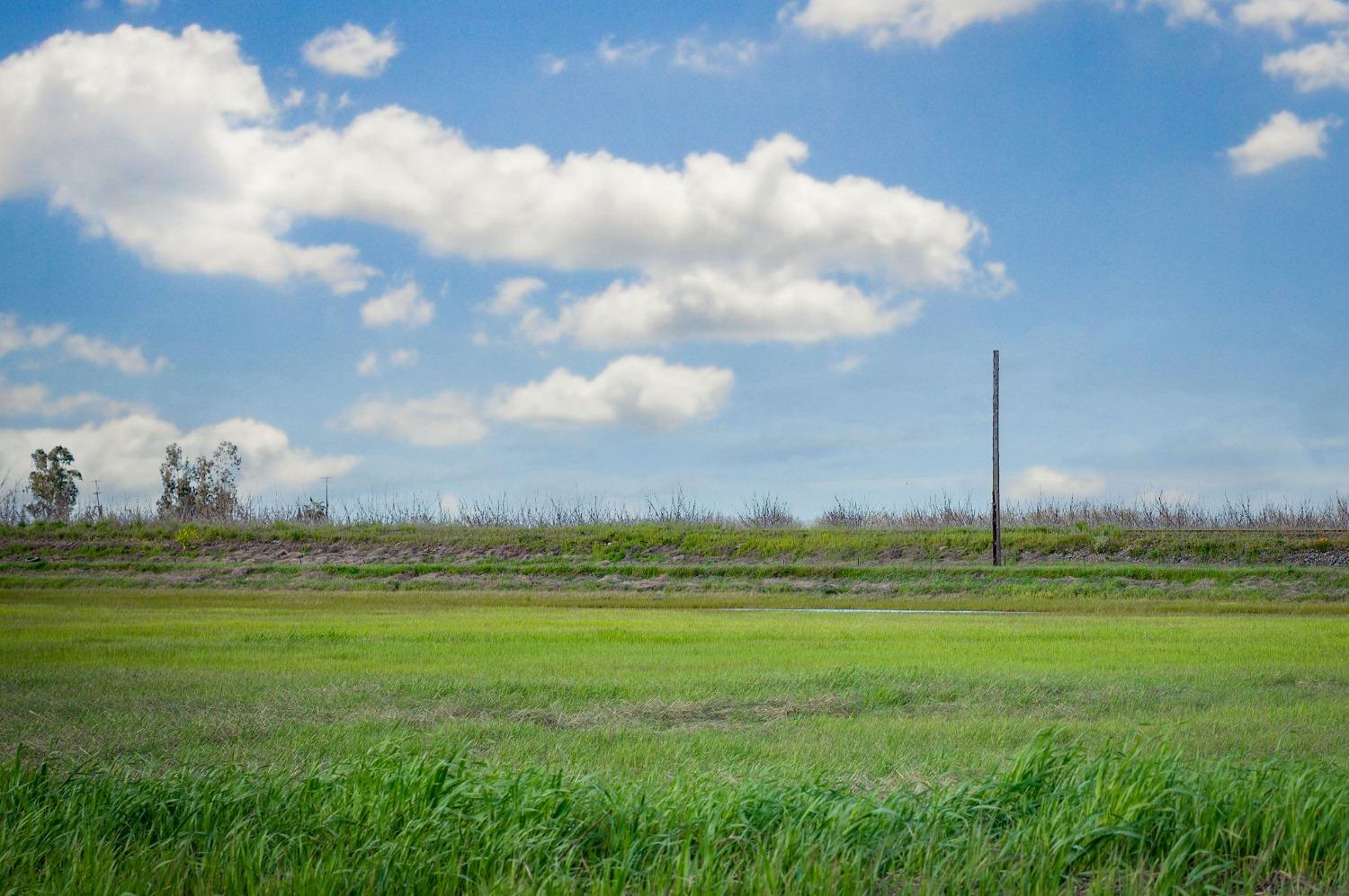 Skyway, Olivehurst, California image 7