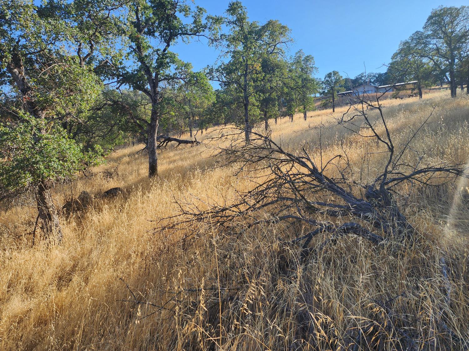 Basket Lane, Copperopolis, California image 3