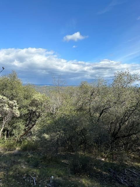 Photo of 6294 Arch Ln in Placerville, CA
