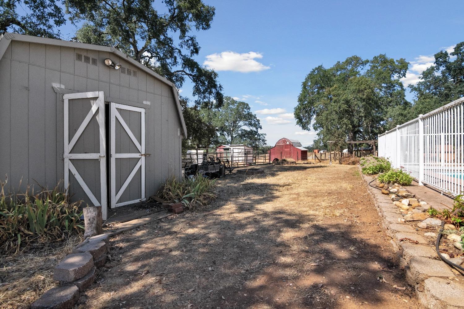 Mount Echo Drive, Ione, California image 50