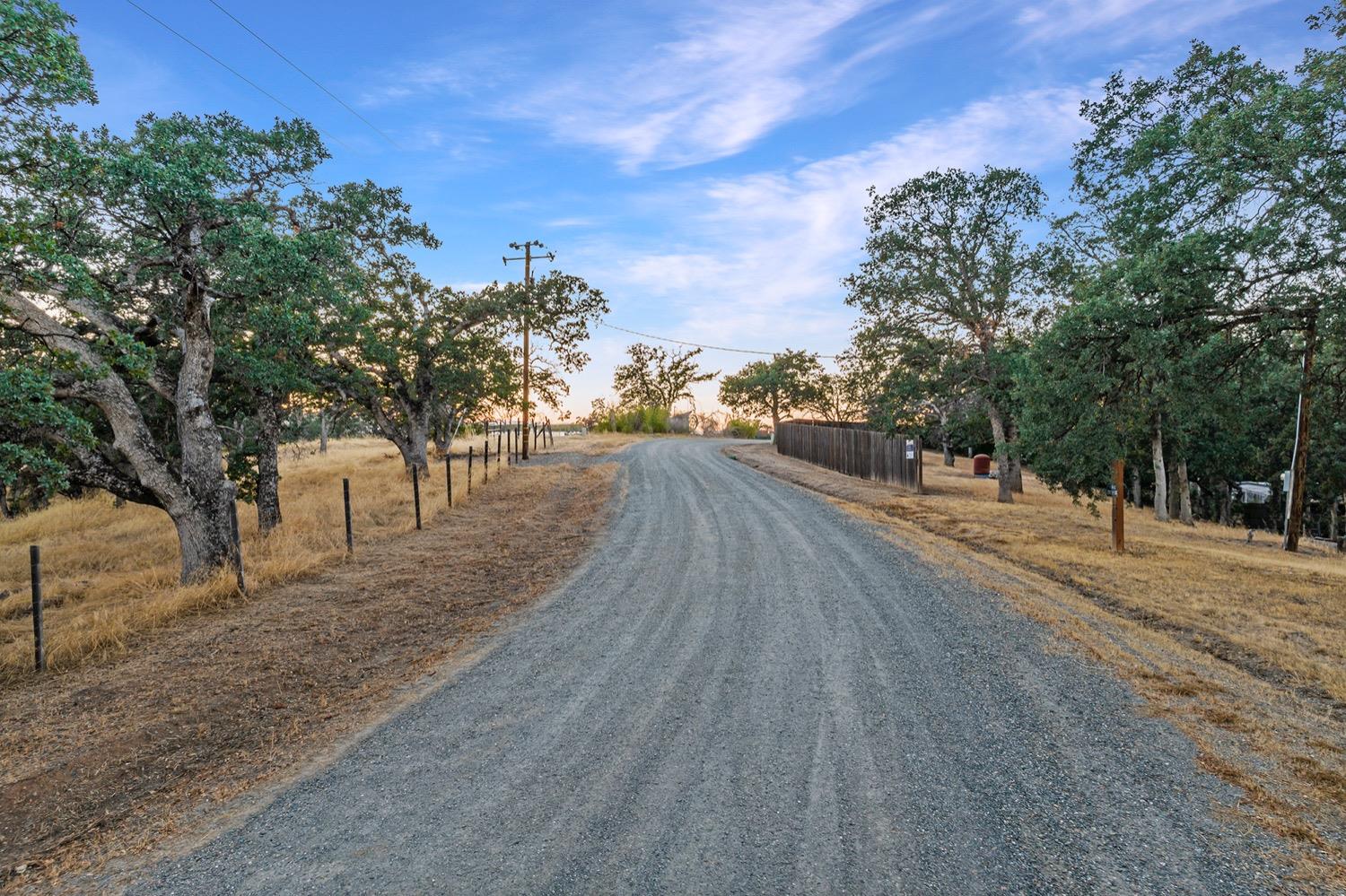 Coyote Point, Corning, California image 8