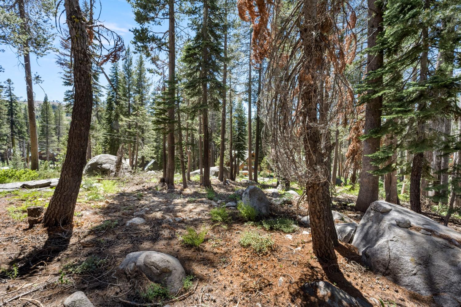 Lotta Crabtree Terrace, Soda Springs, California image 1