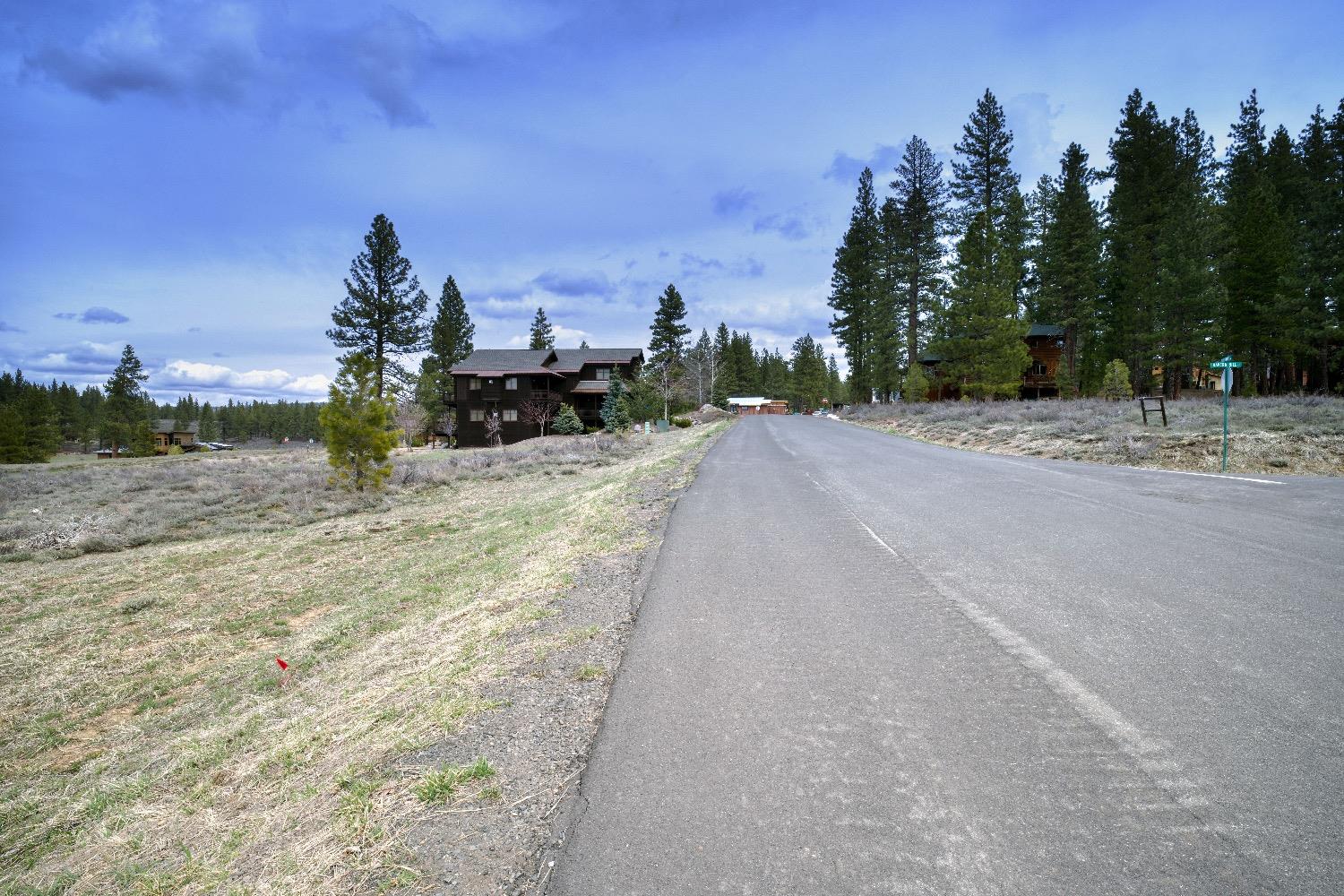 Courtenay Lane, Truckee, California image 3