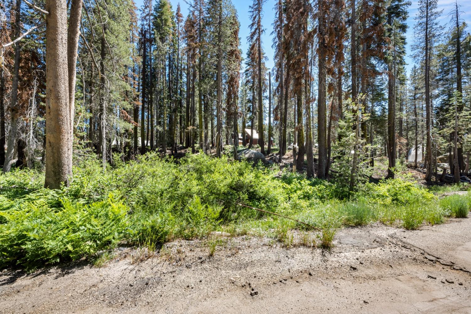 Lotta Crabtree Terrace, Soda Springs, California image 12