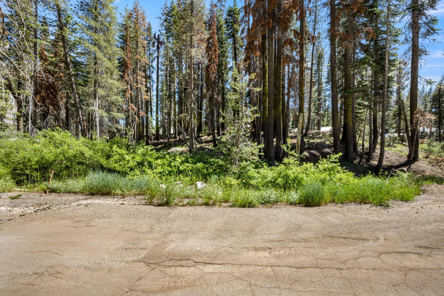 Lotta Crabtree Terrace, Soda Springs, California image 9