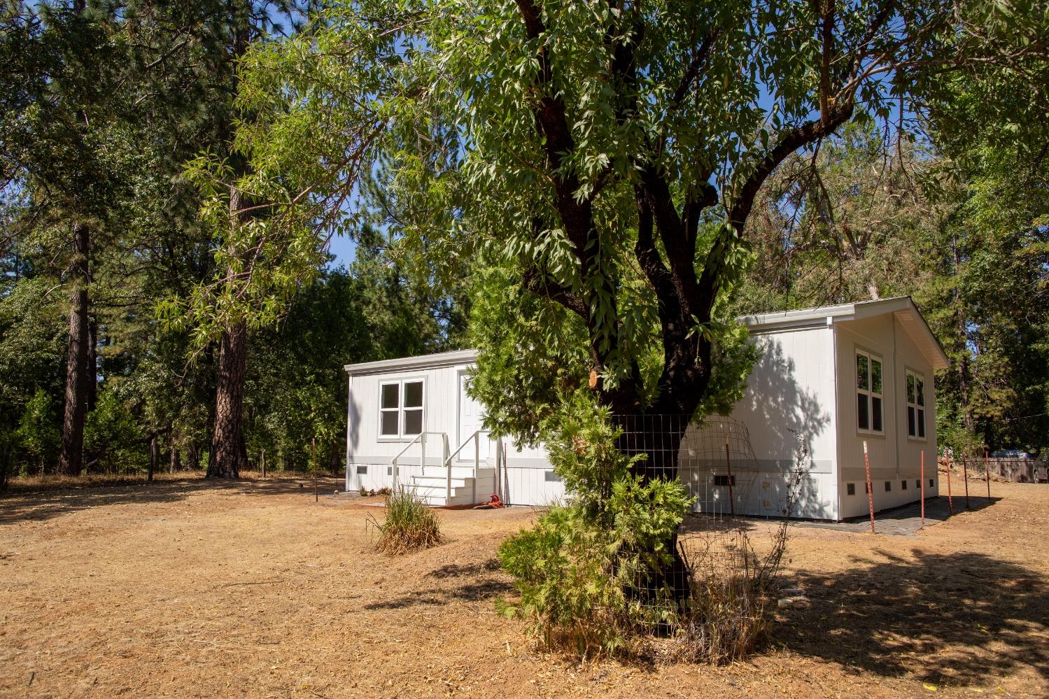 Hofeditz Road, Mokelumne Hill, California image 4