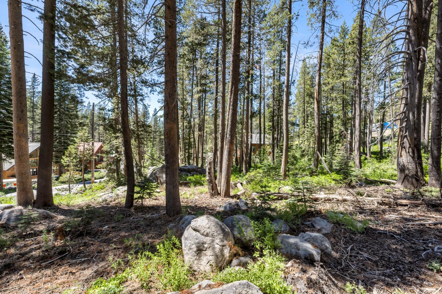 Lotta Crabtree Terrace, Soda Springs, California image 7