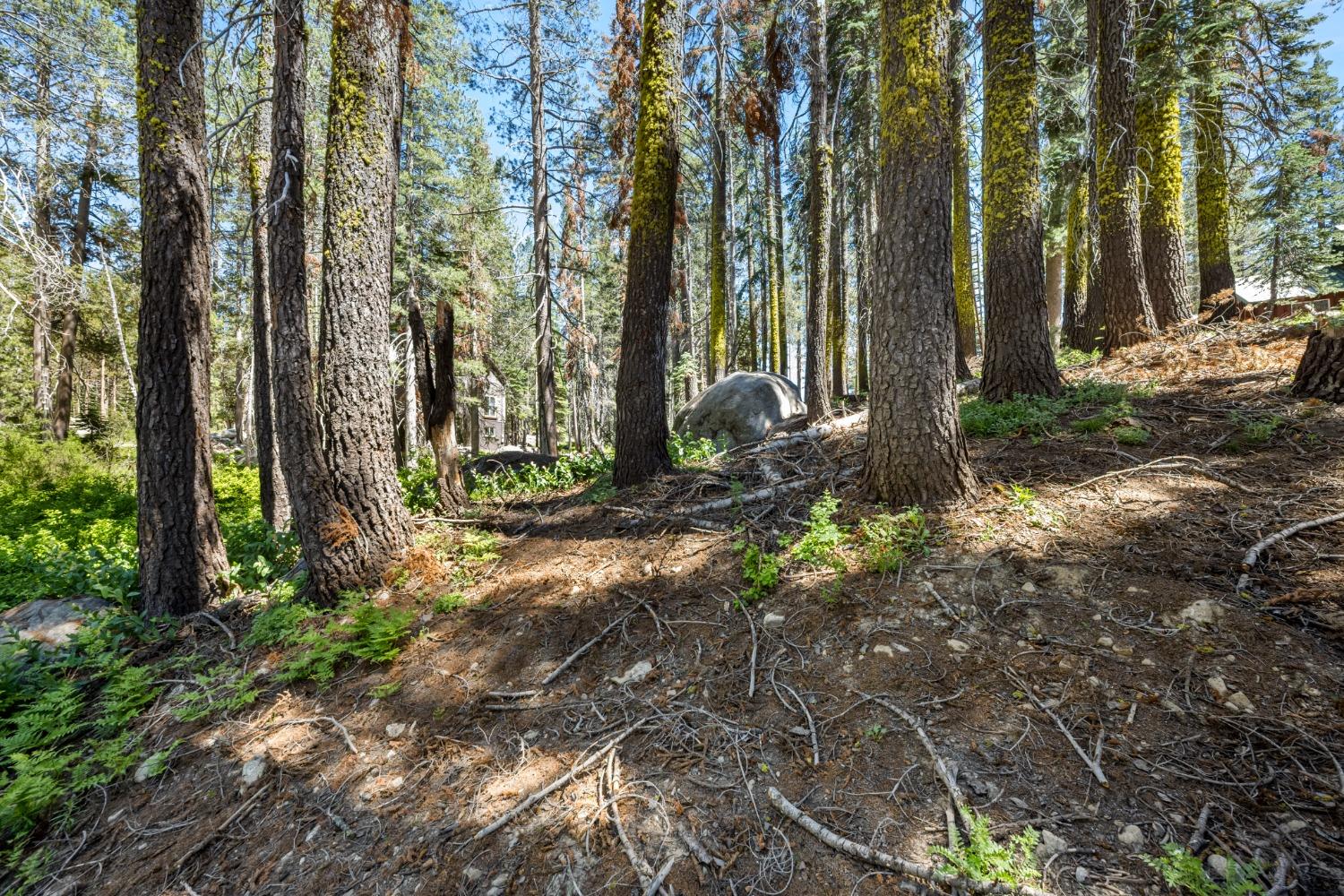 Lotta Crabtree Terrace, Soda Springs, California image 11