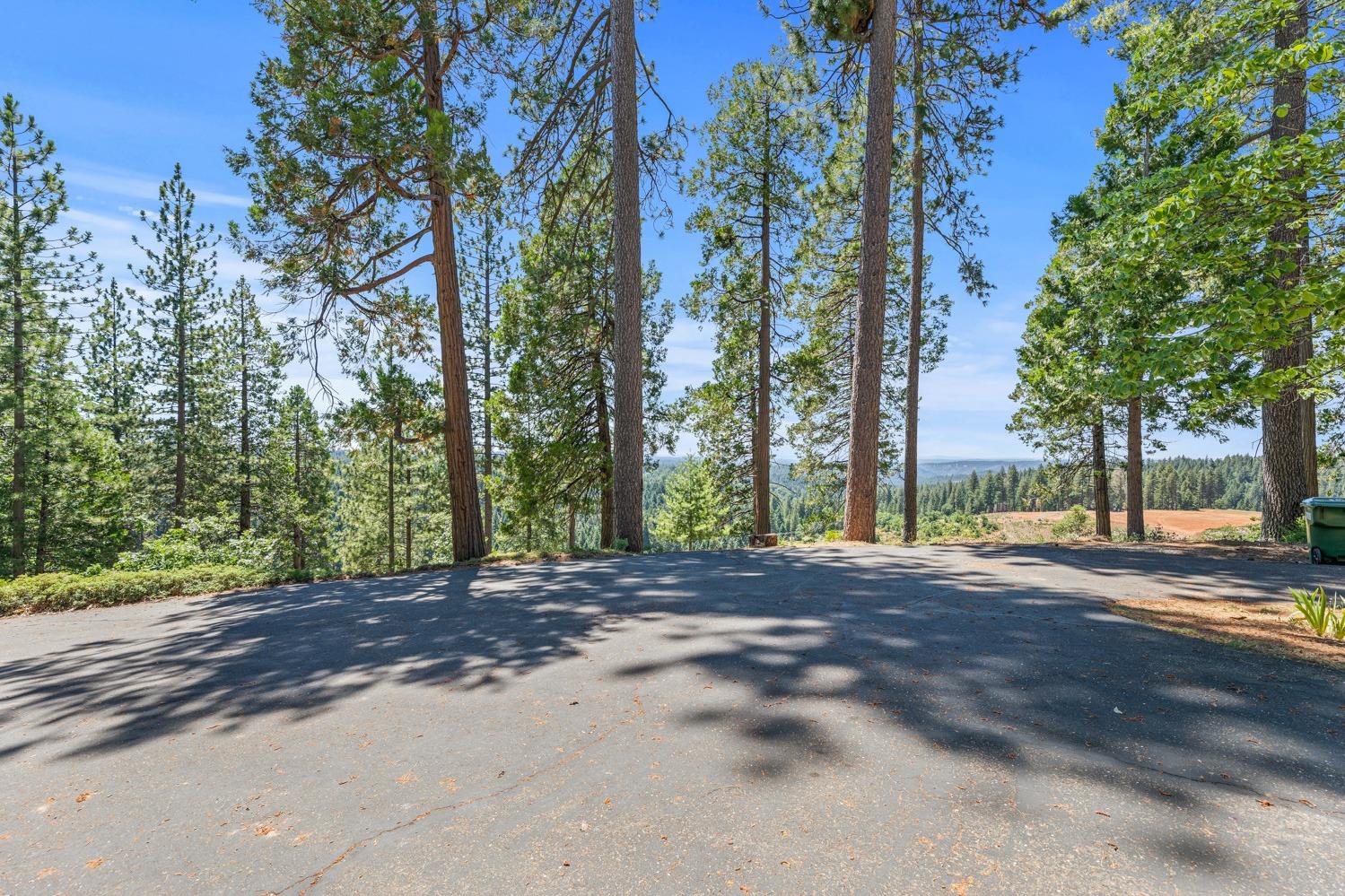 Terrace Drive, Pollock Pines, California image 5