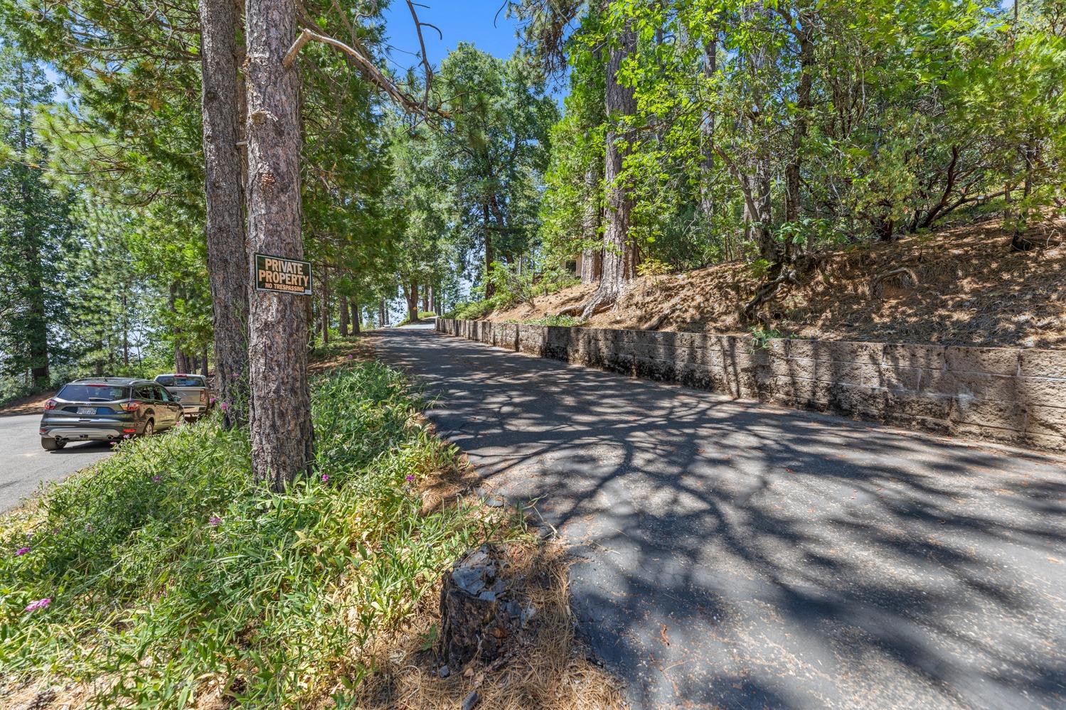 Terrace Drive, Pollock Pines, California image 9