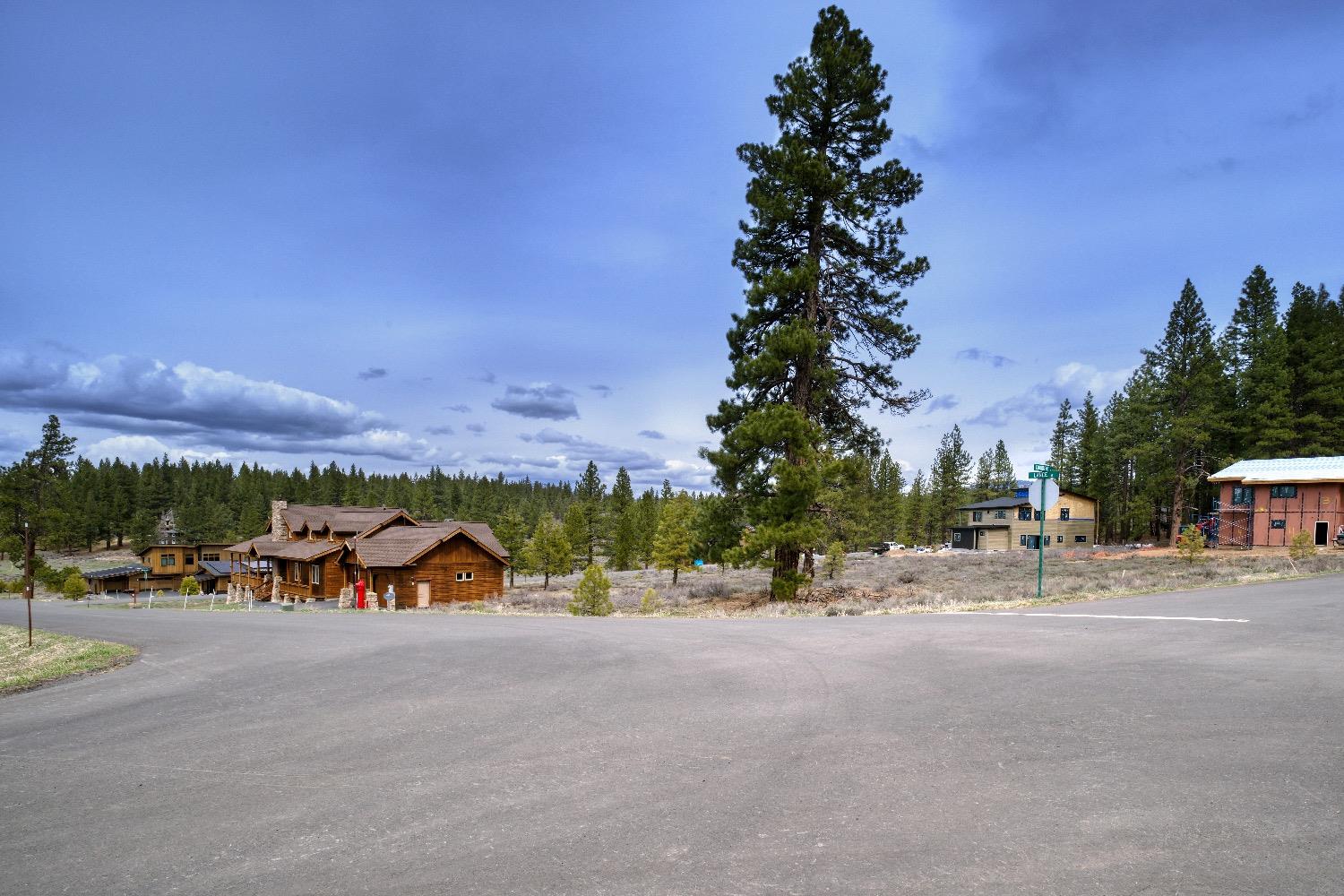 Courtenay Lane, Truckee, California image 24