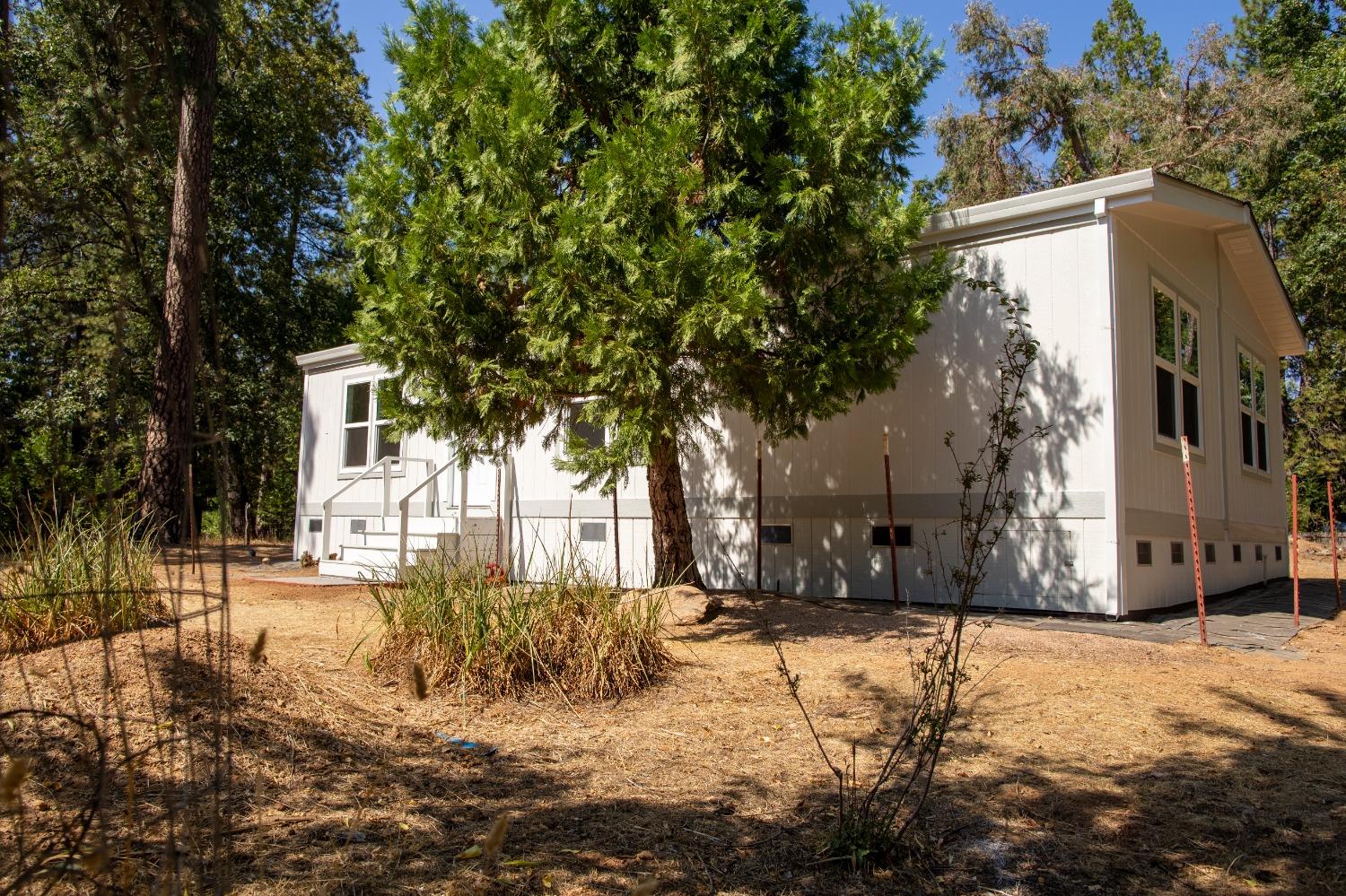 Hofeditz Road, Mokelumne Hill, California image 7