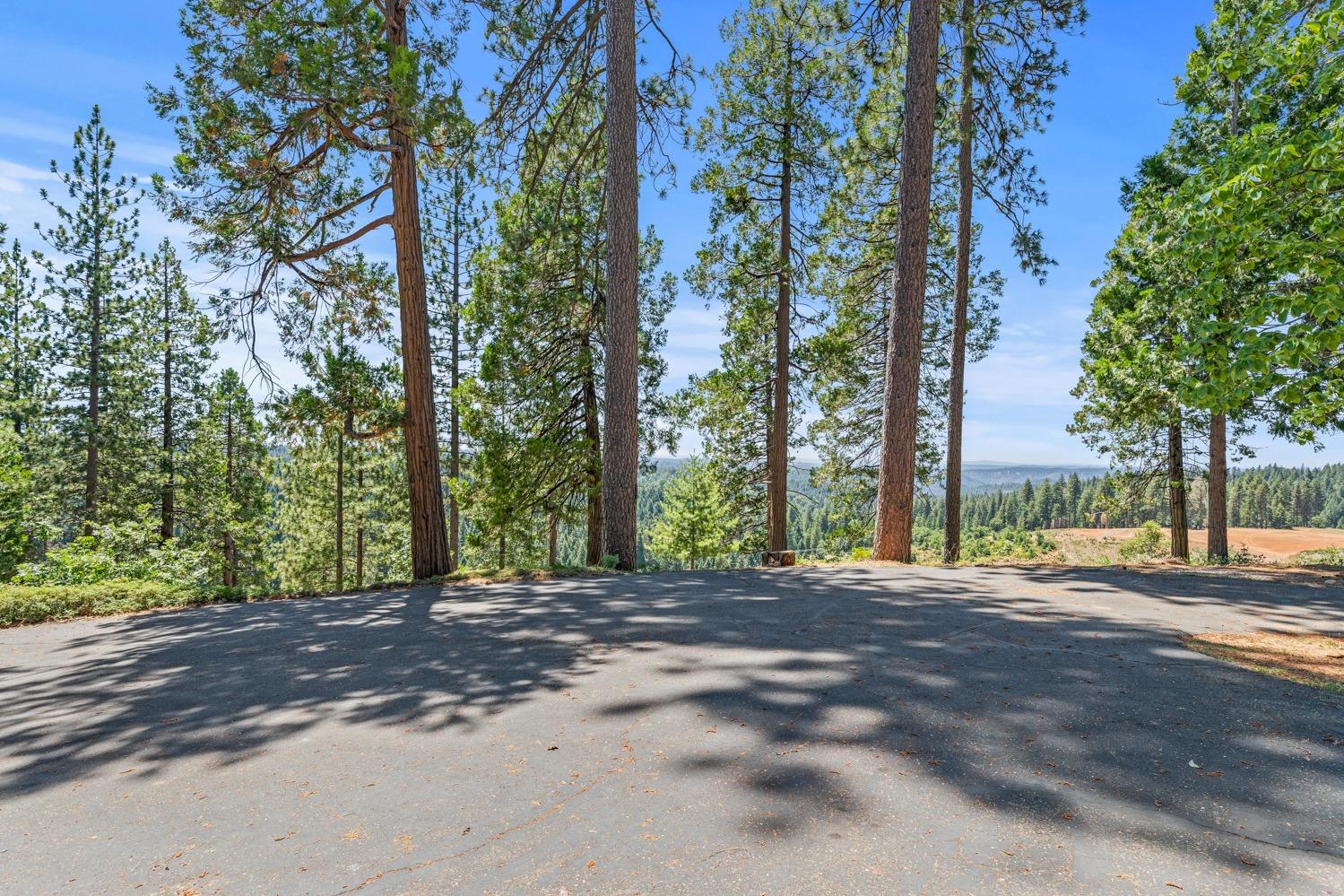 Terrace Drive, Pollock Pines, California image 6