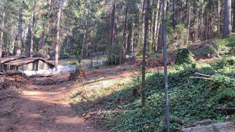 Photo of 28040 Manzanita Trl in Colfax, CA