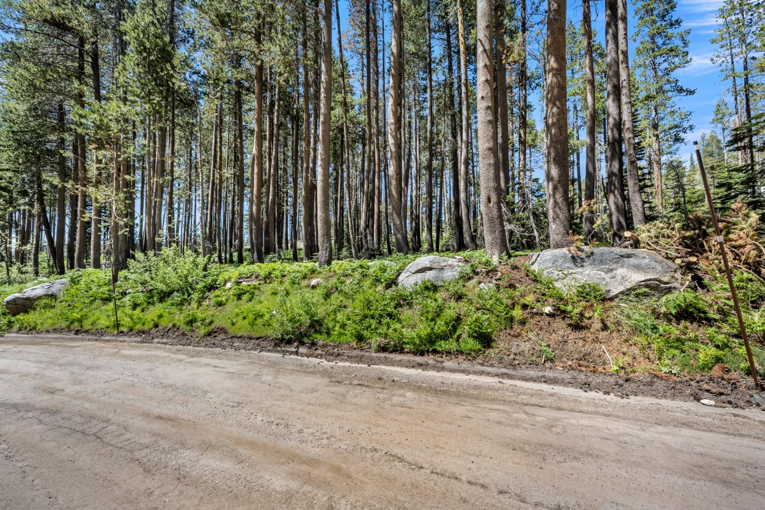 Lotta Crabtree Terrace, Soda Springs, California image 3