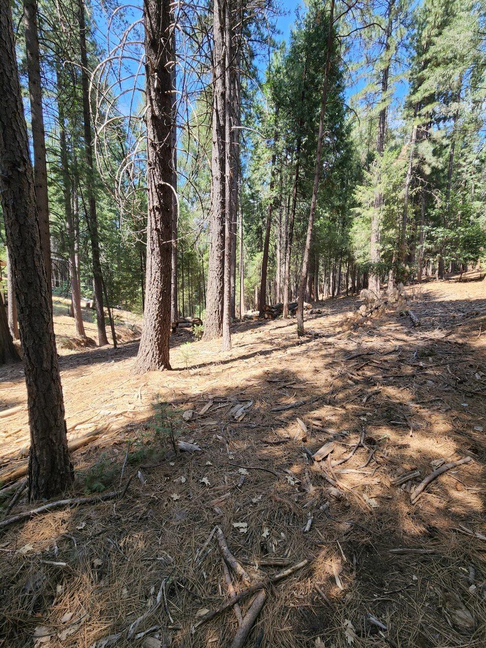 Detail Gallery Image 2 of 6 For 0 Juarez Rd, Pollock Pines,  CA 95726 - – Beds | – Baths