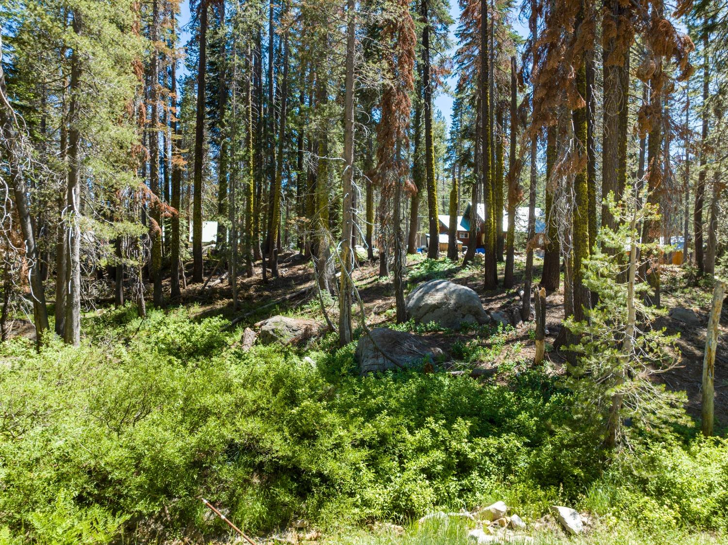 Lotta Crabtree Terrace, Soda Springs, California image 1