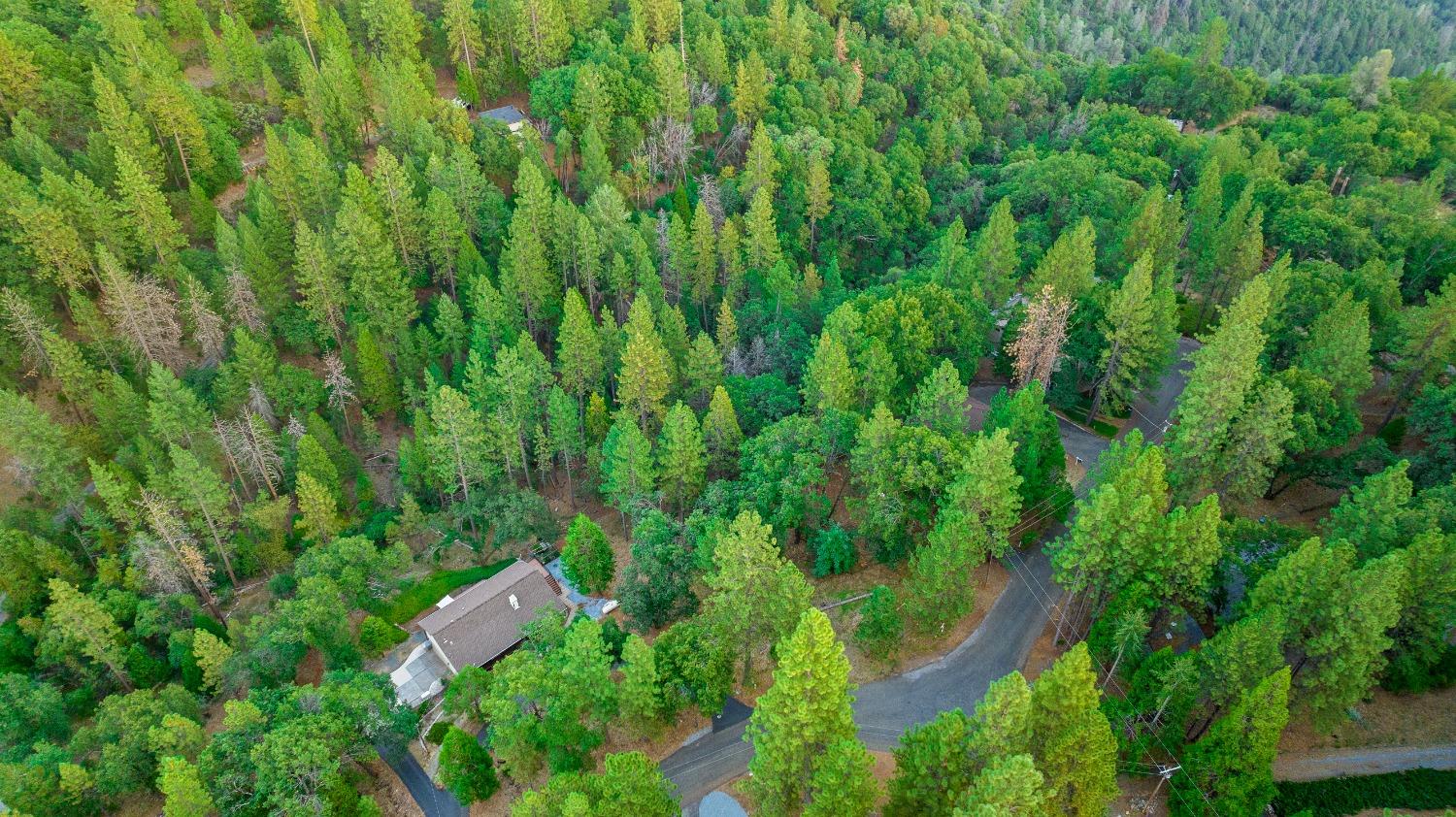 Photo of 20595 Birchwood Dr in Foresthill, CA
