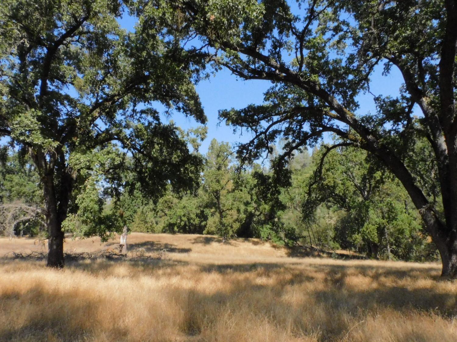 Mesquite Court, El Dorado, California image 1