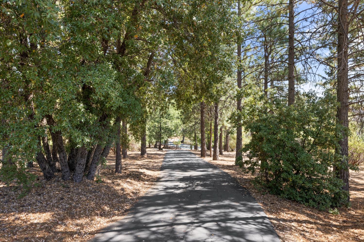 Strebor Lane, Somerset, California image 2