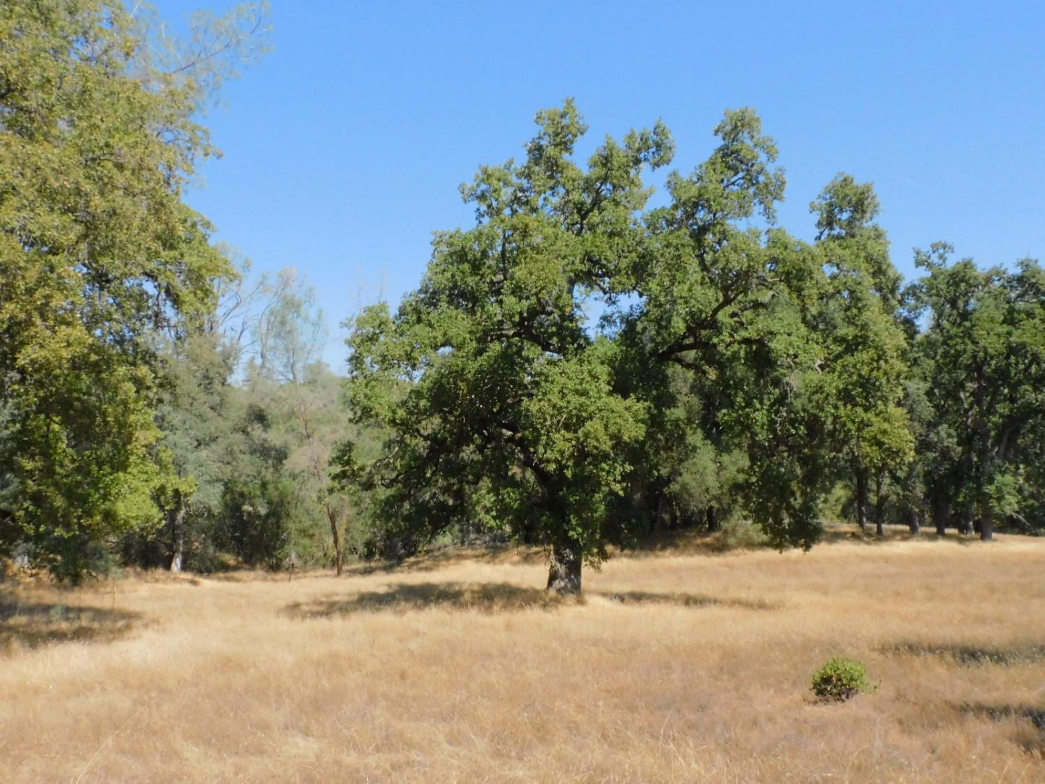 Mesquite Court, El Dorado, California image 18