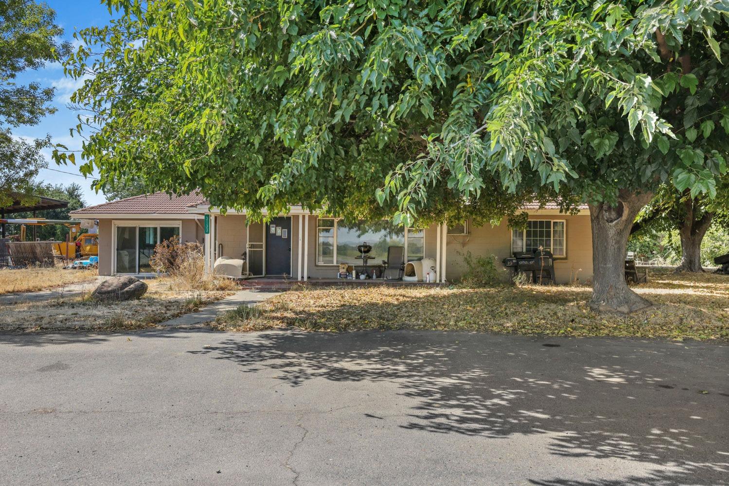 Butte Slough Road, Colusa, California image 3