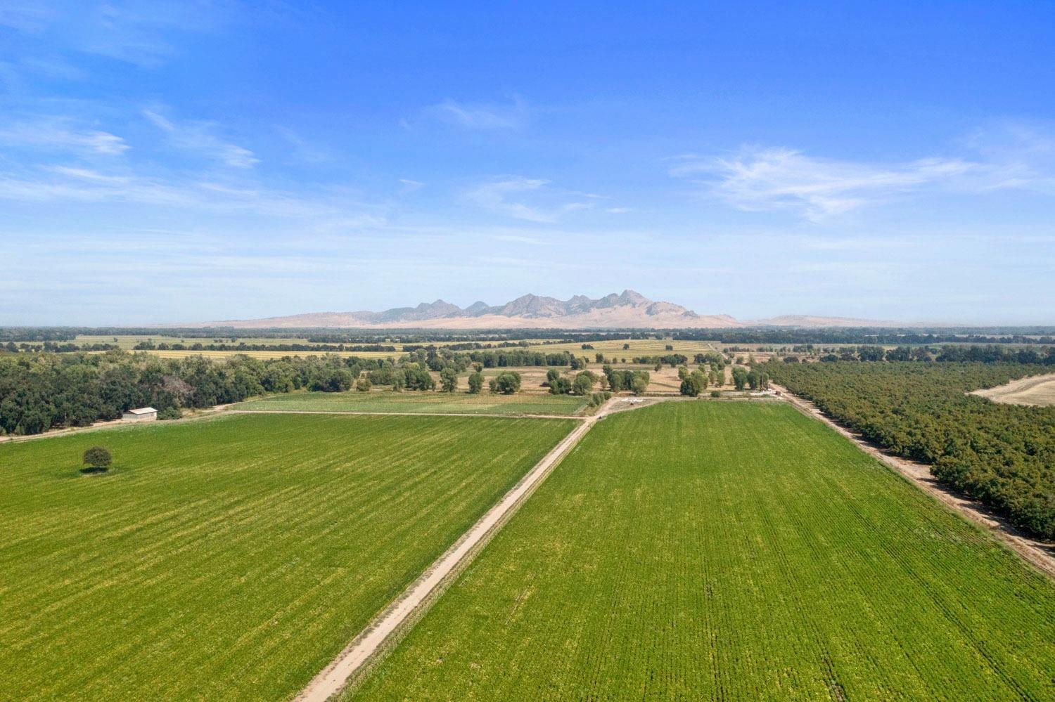 Butte Slough Road, Colusa, California image 42