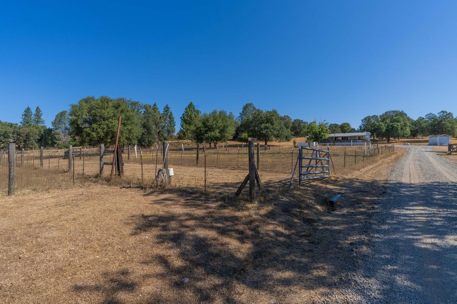 Railroad Flat Road, Mountain Ranch, California image 26