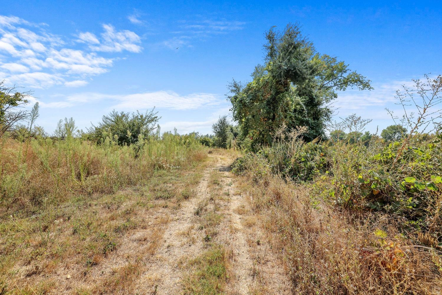 Butte Slough Road, Colusa, California image 30