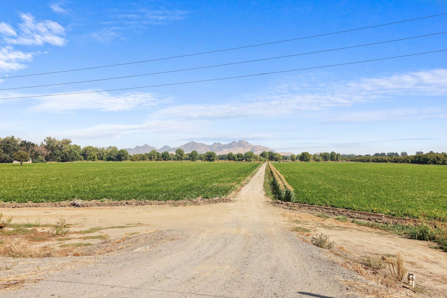 Butte Slough Road, Colusa, California image 2