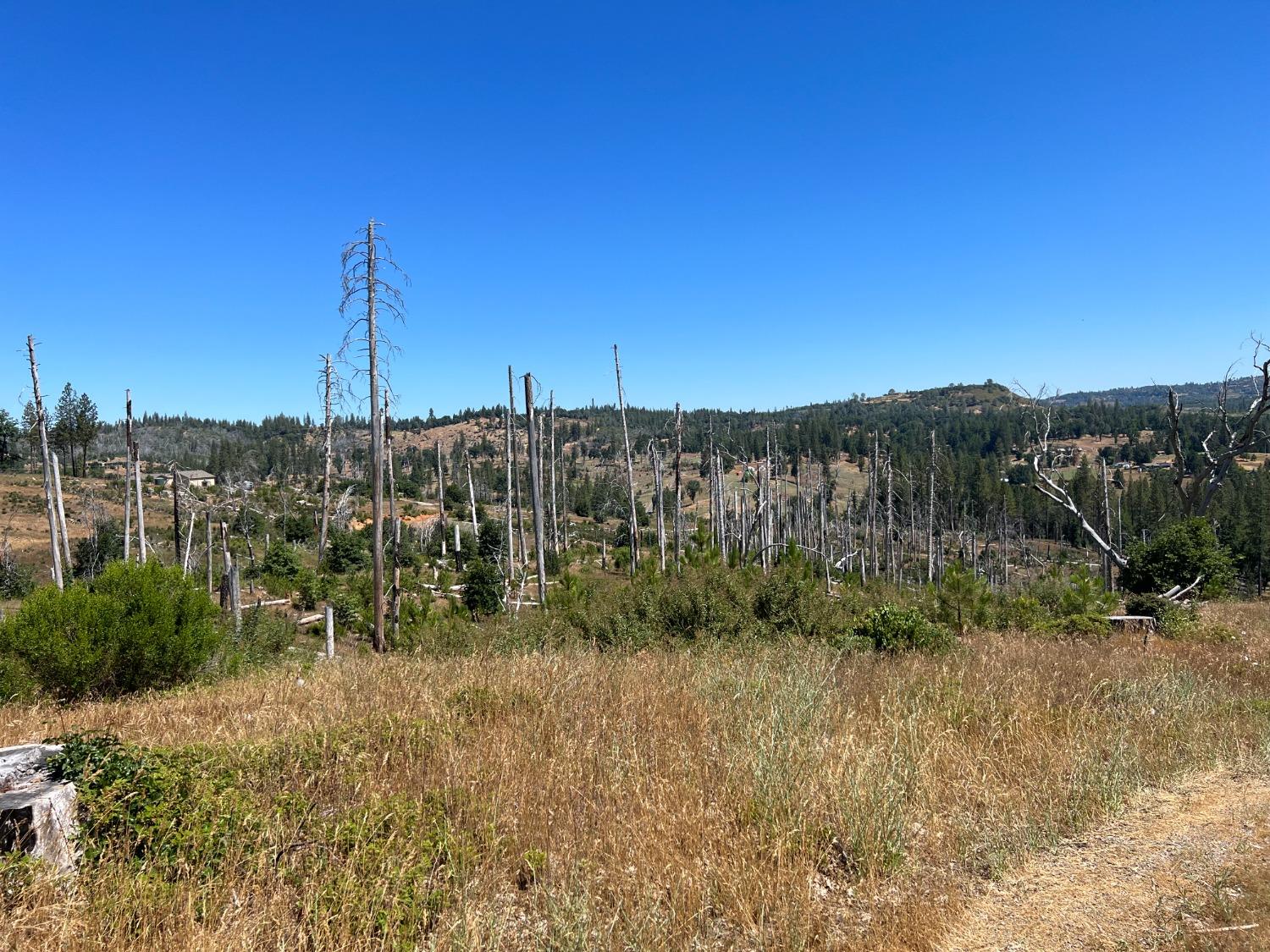 Eagle View Drive, Mountain Ranch, California image 4