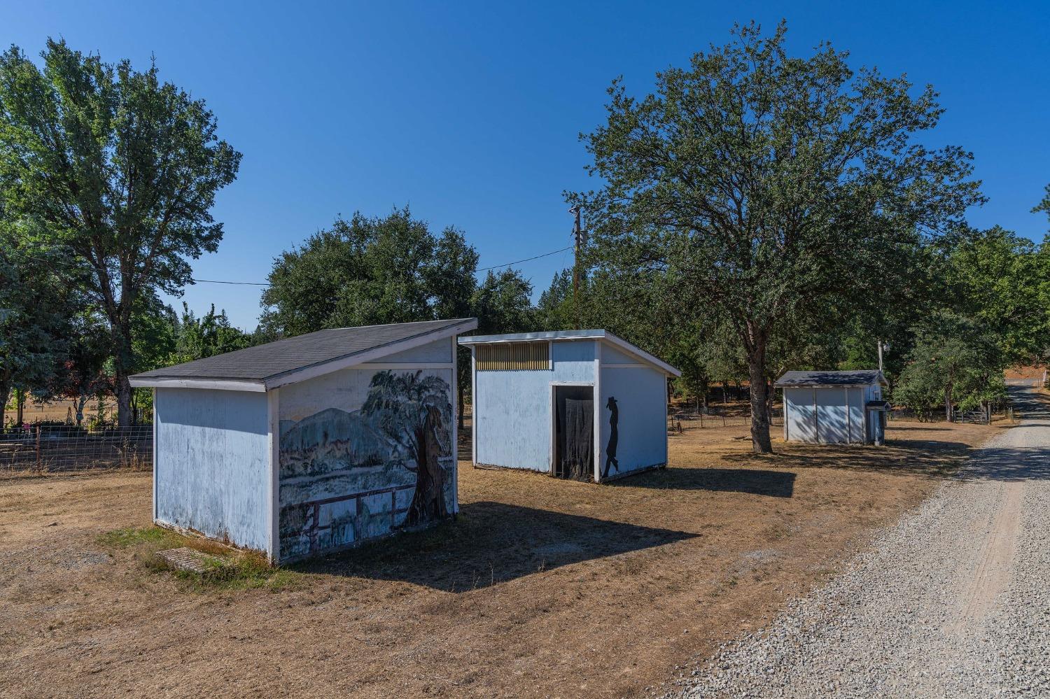 Railroad Flat Road, Mountain Ranch, California image 27