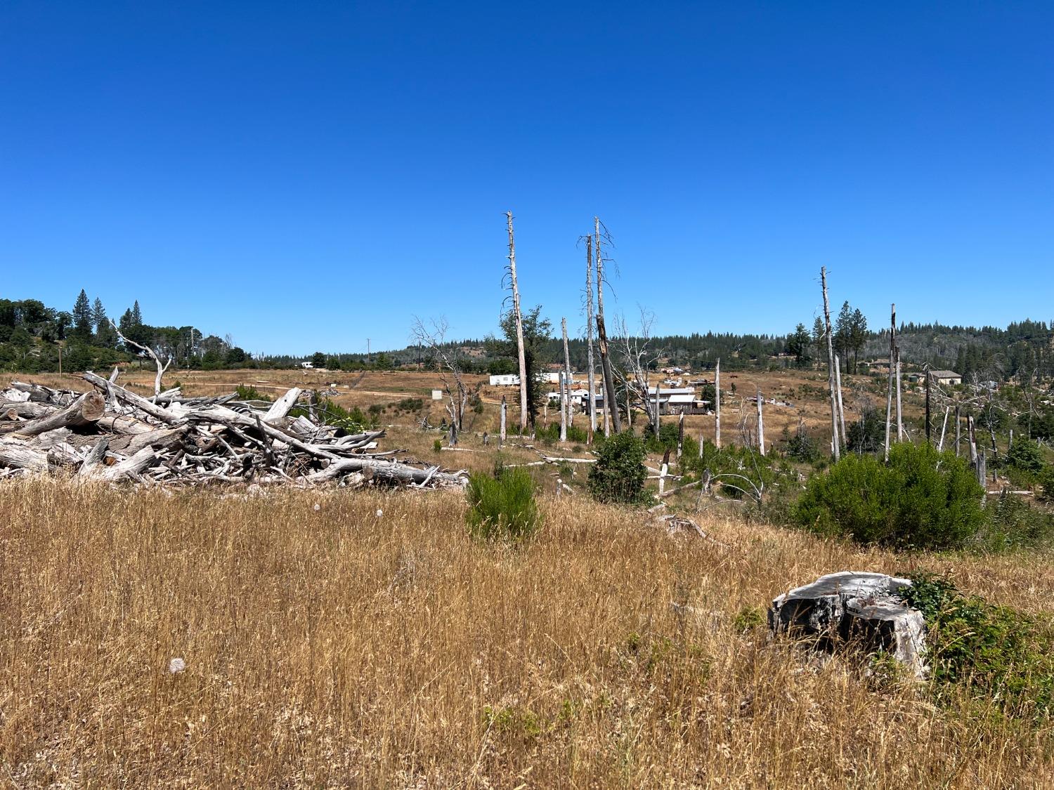 Eagle View Drive, Mountain Ranch, California image 3