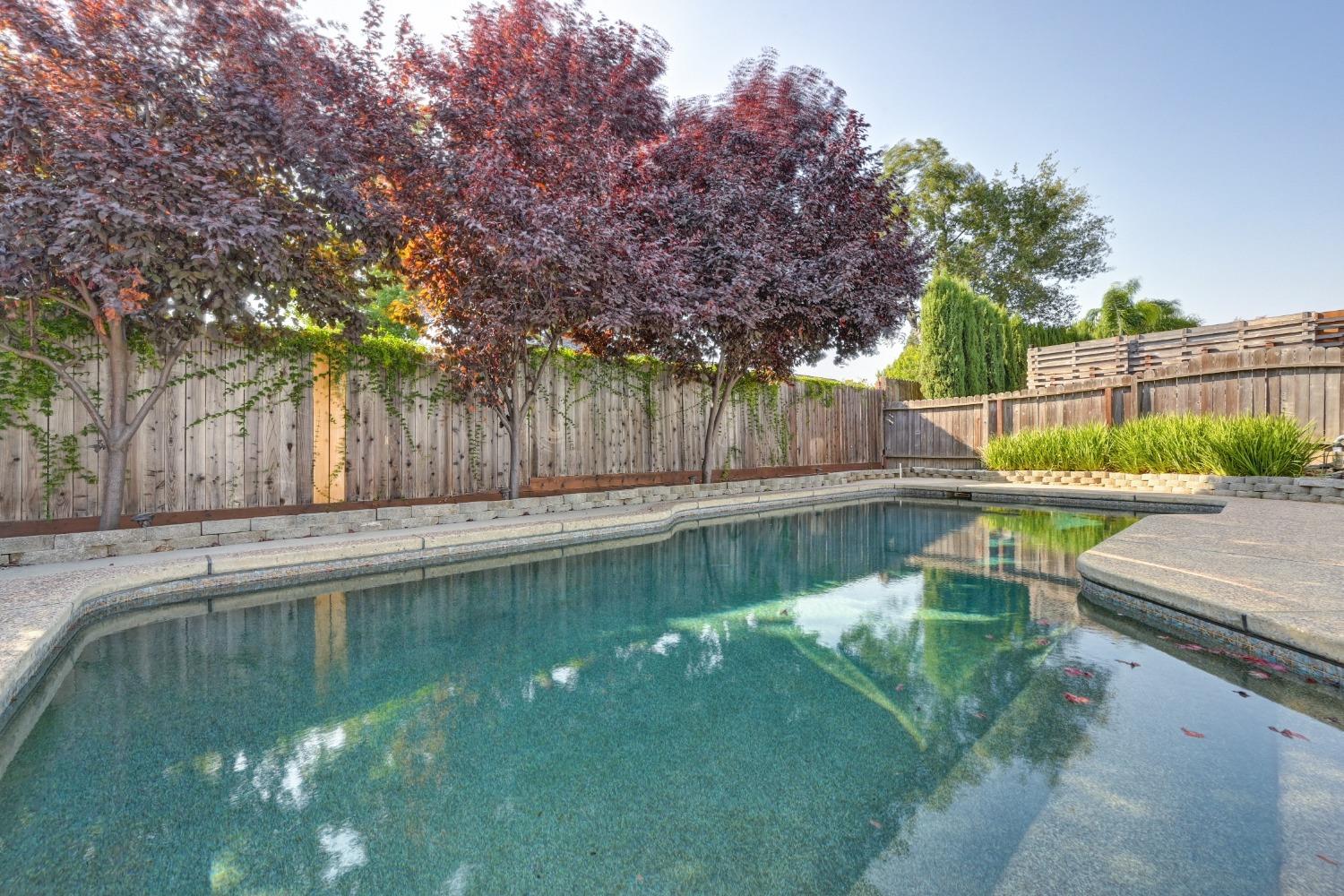 Kifisia Way, Fair Oaks, California image 42