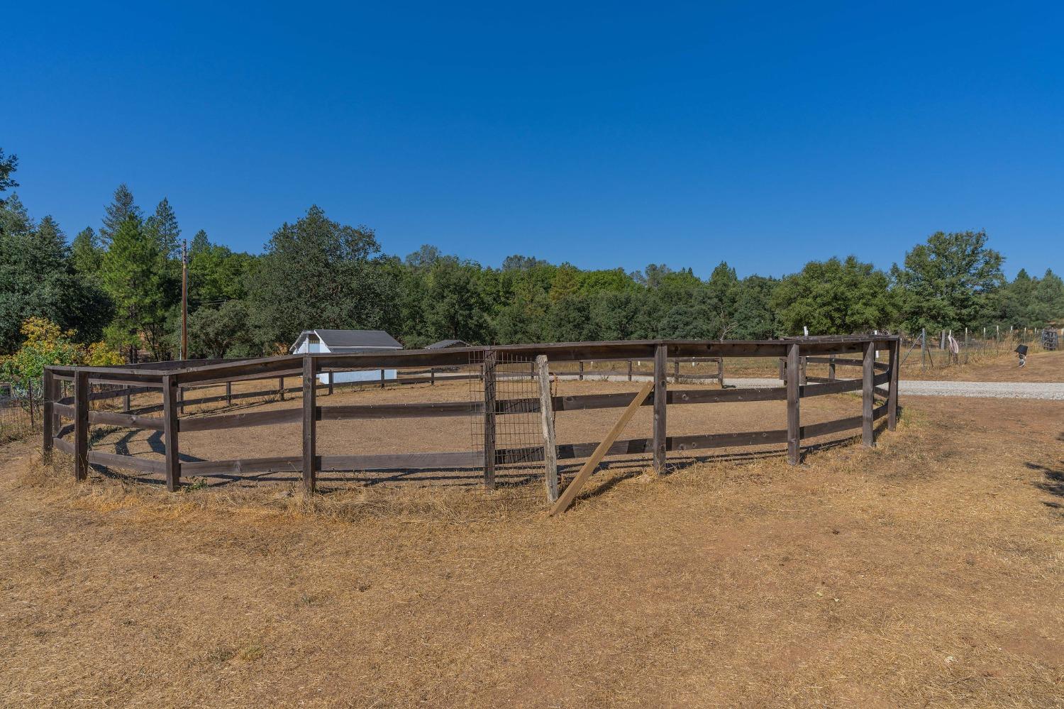 Railroad Flat Road, Mountain Ranch, California image 28