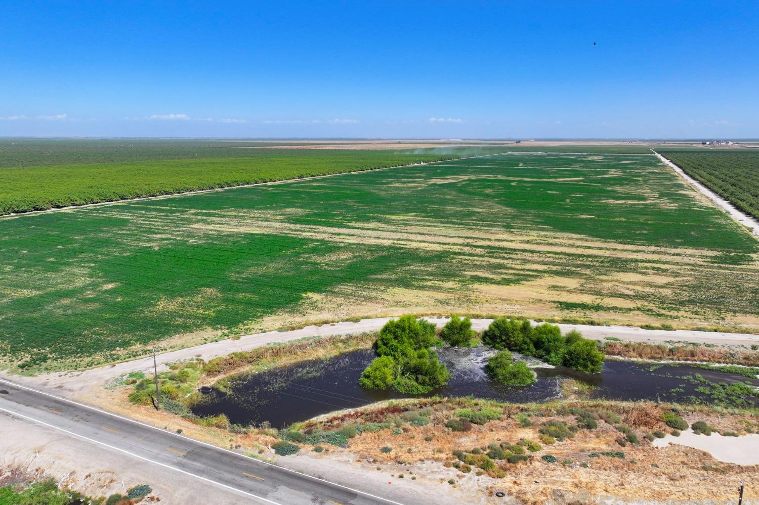 Road 9, Firebaugh, California image 9