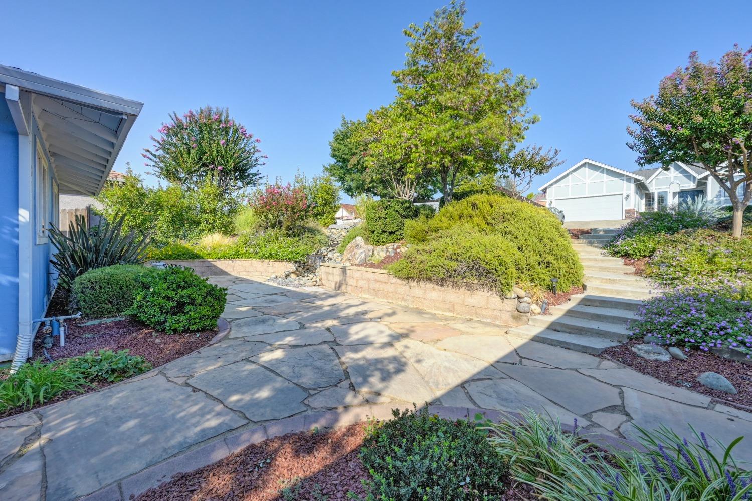 Kifisia Way, Fair Oaks, California image 4