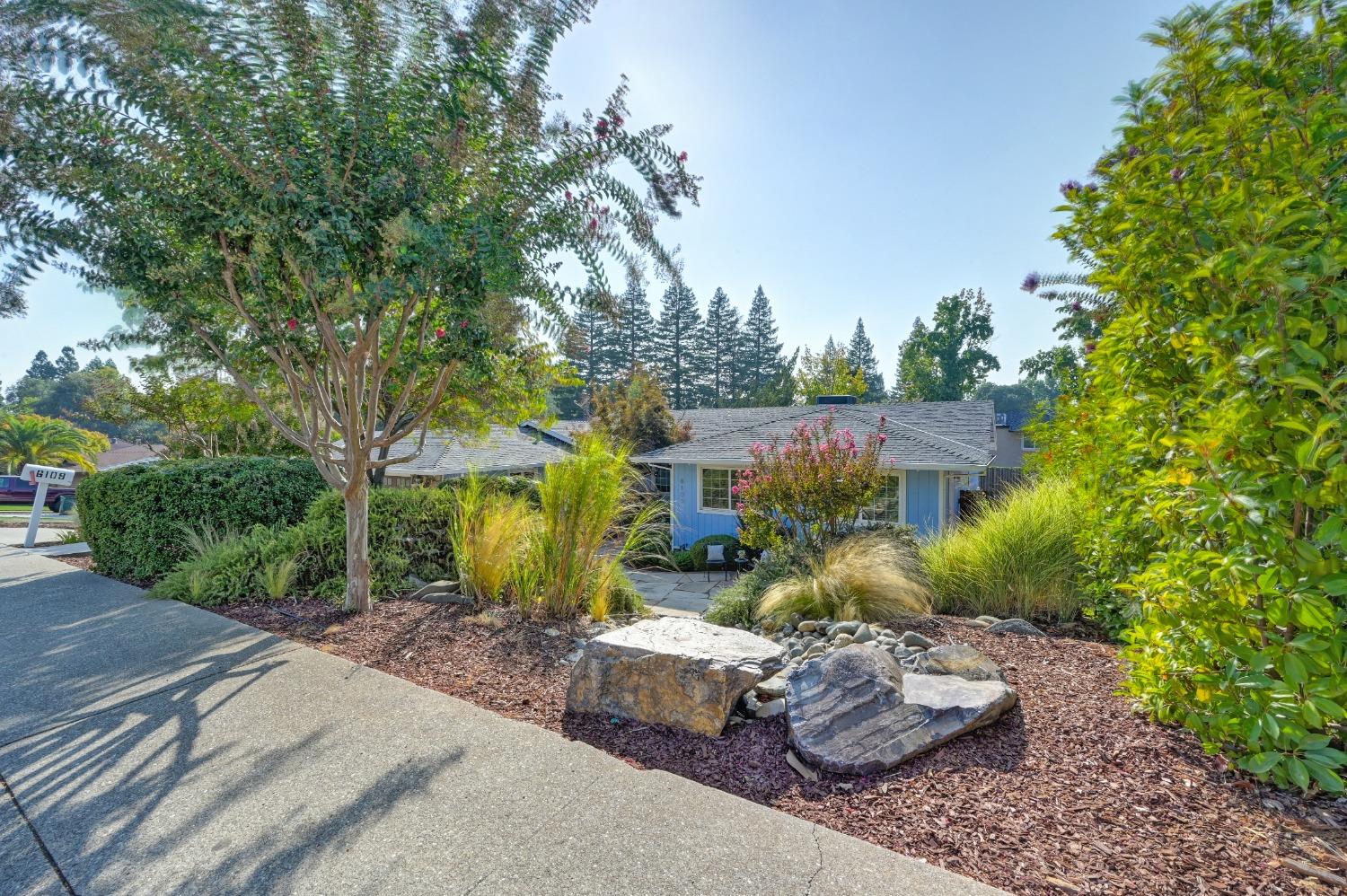 Kifisia Way, Fair Oaks, California image 3