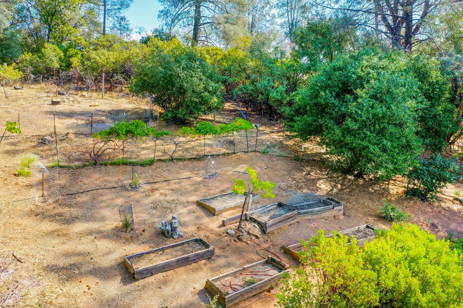 Hershey Road, Tuolumne, California image 39