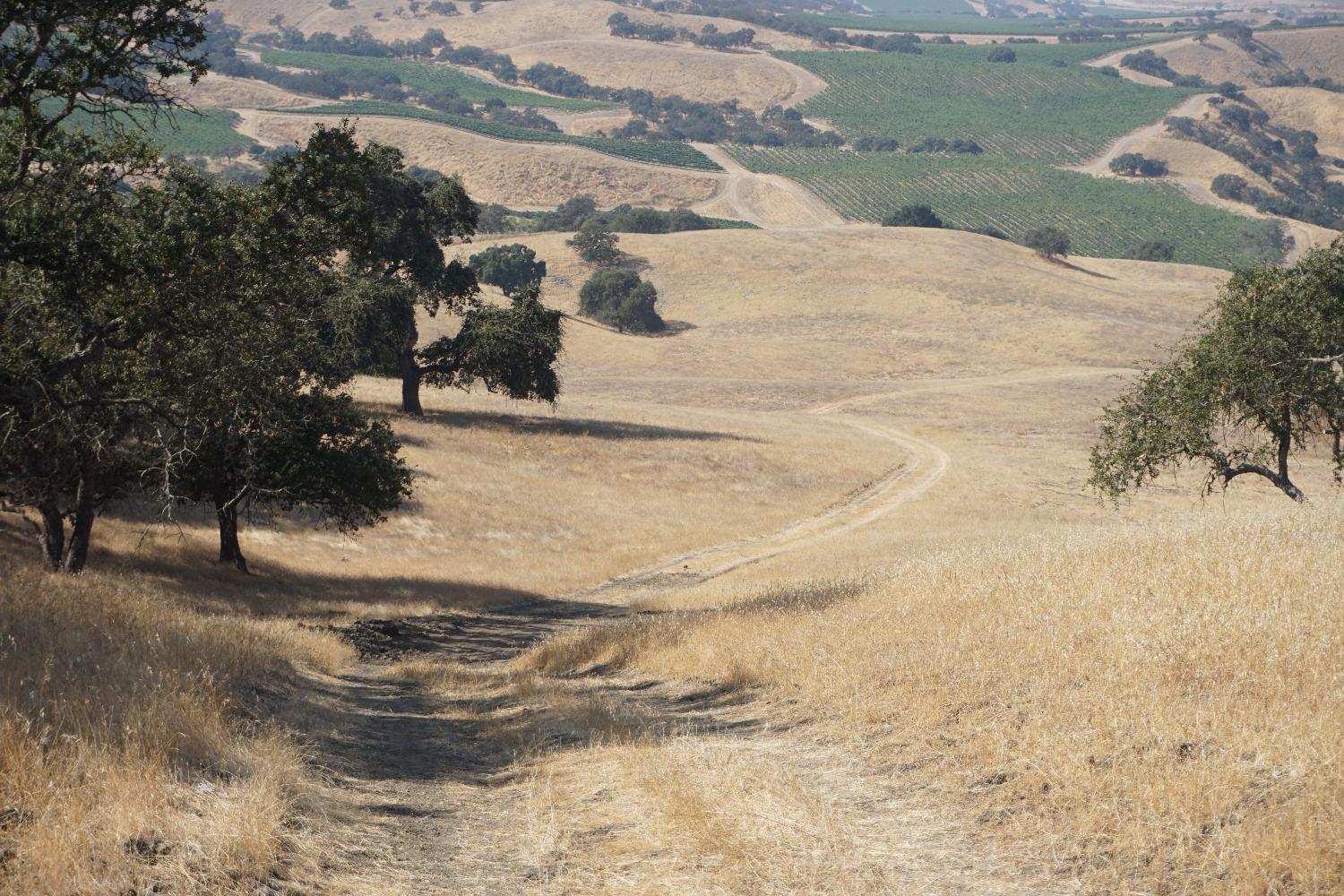 Panoche Rd, Paicines, California image 34