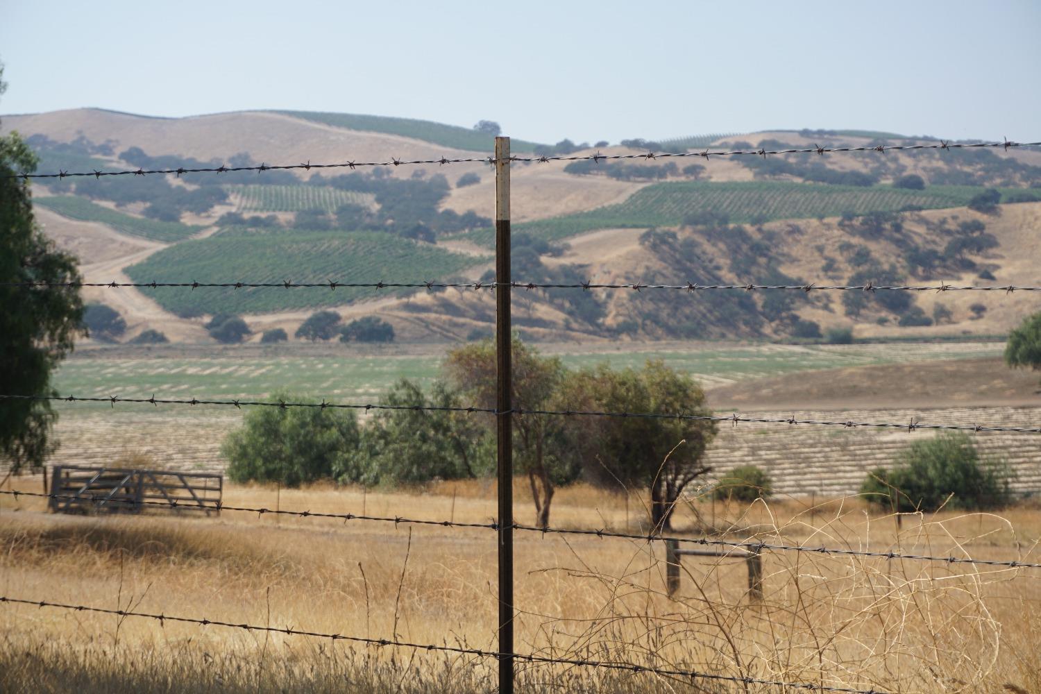 Panoche Rd, Paicines, California image 22