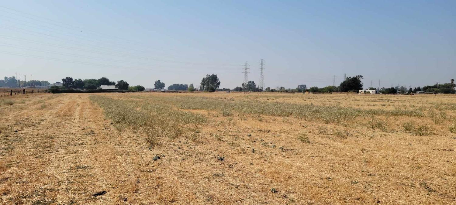 Photo of Watts in East Nicolaus, CA