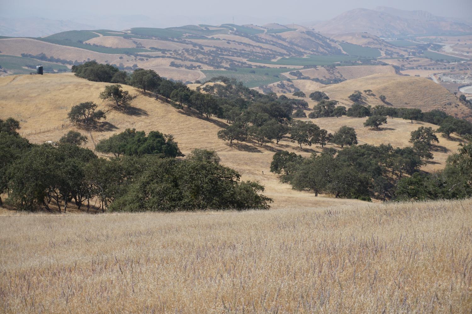 Panoche Rd, Paicines, California image 26