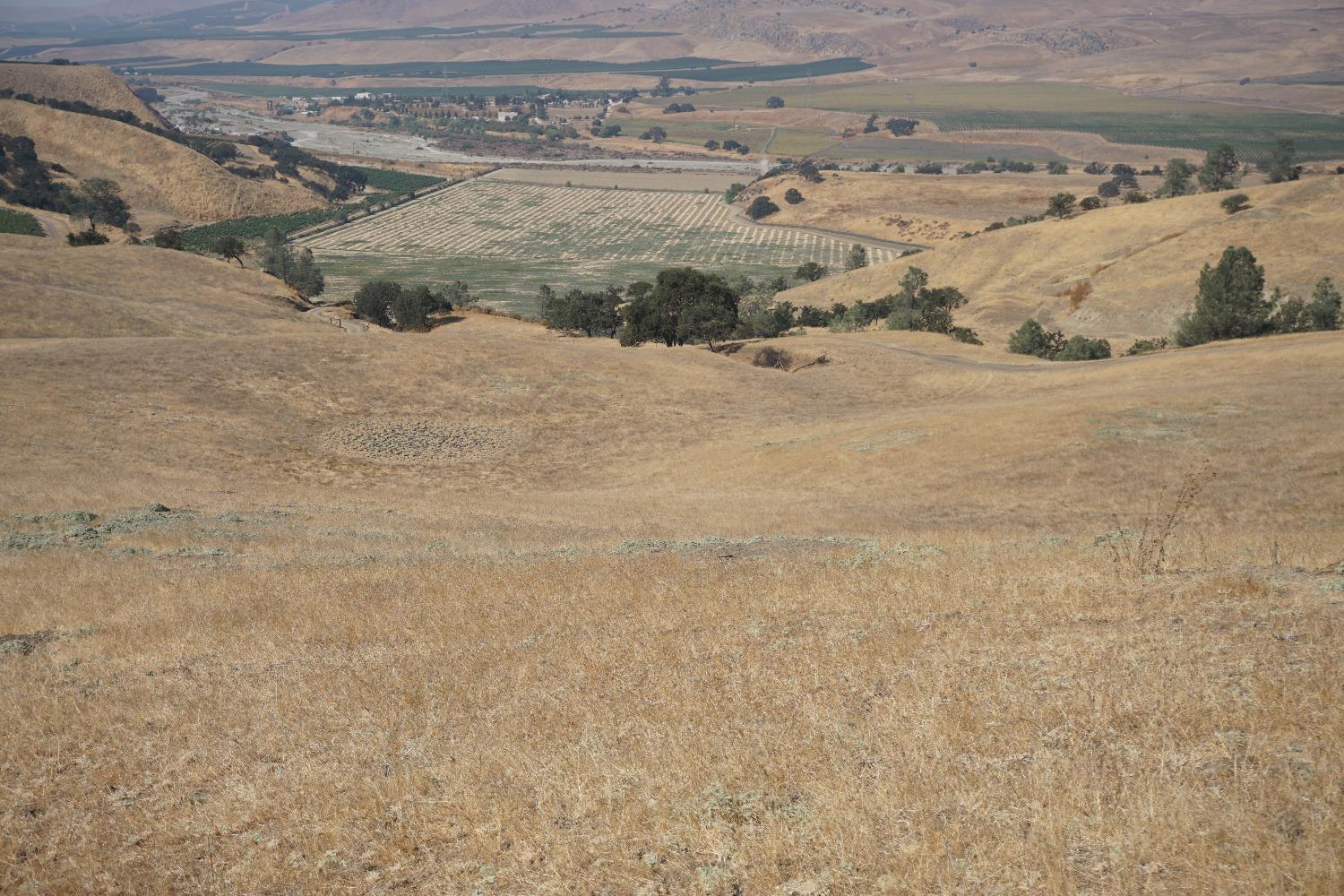 Panoche Rd, Paicines, California image 35