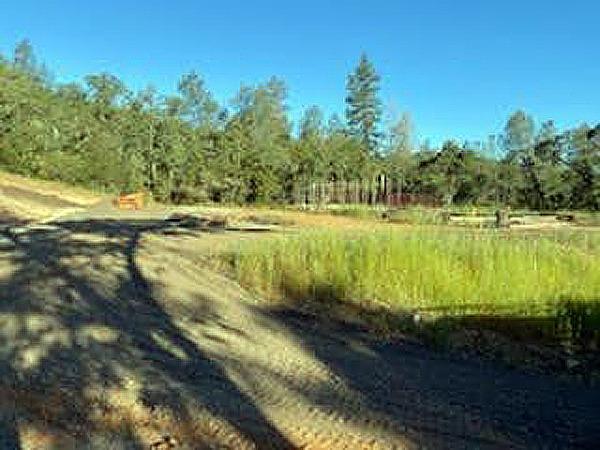 Clark Mountain Road, Lotus, California image 3