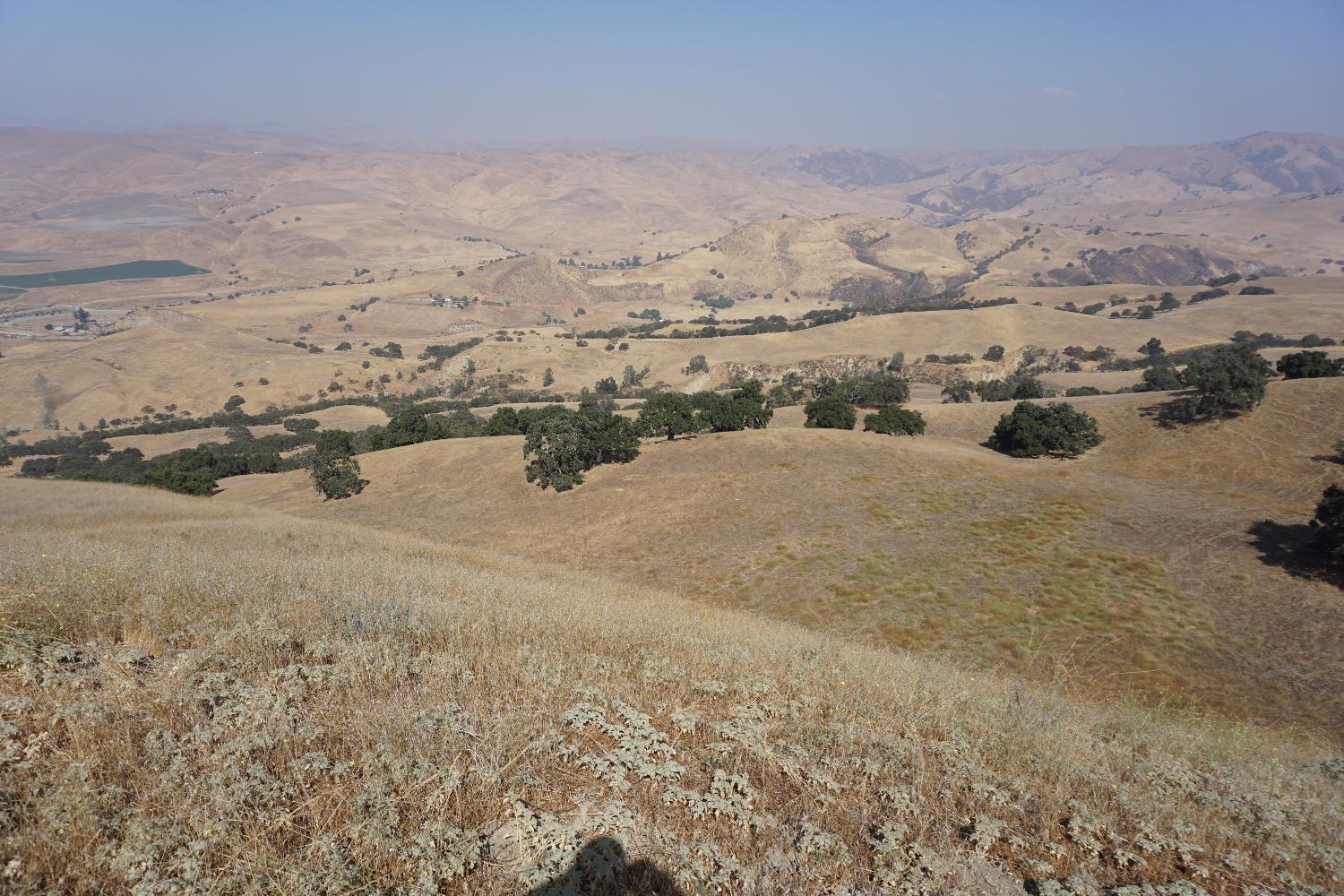 Panoche Rd, Paicines, California image 33