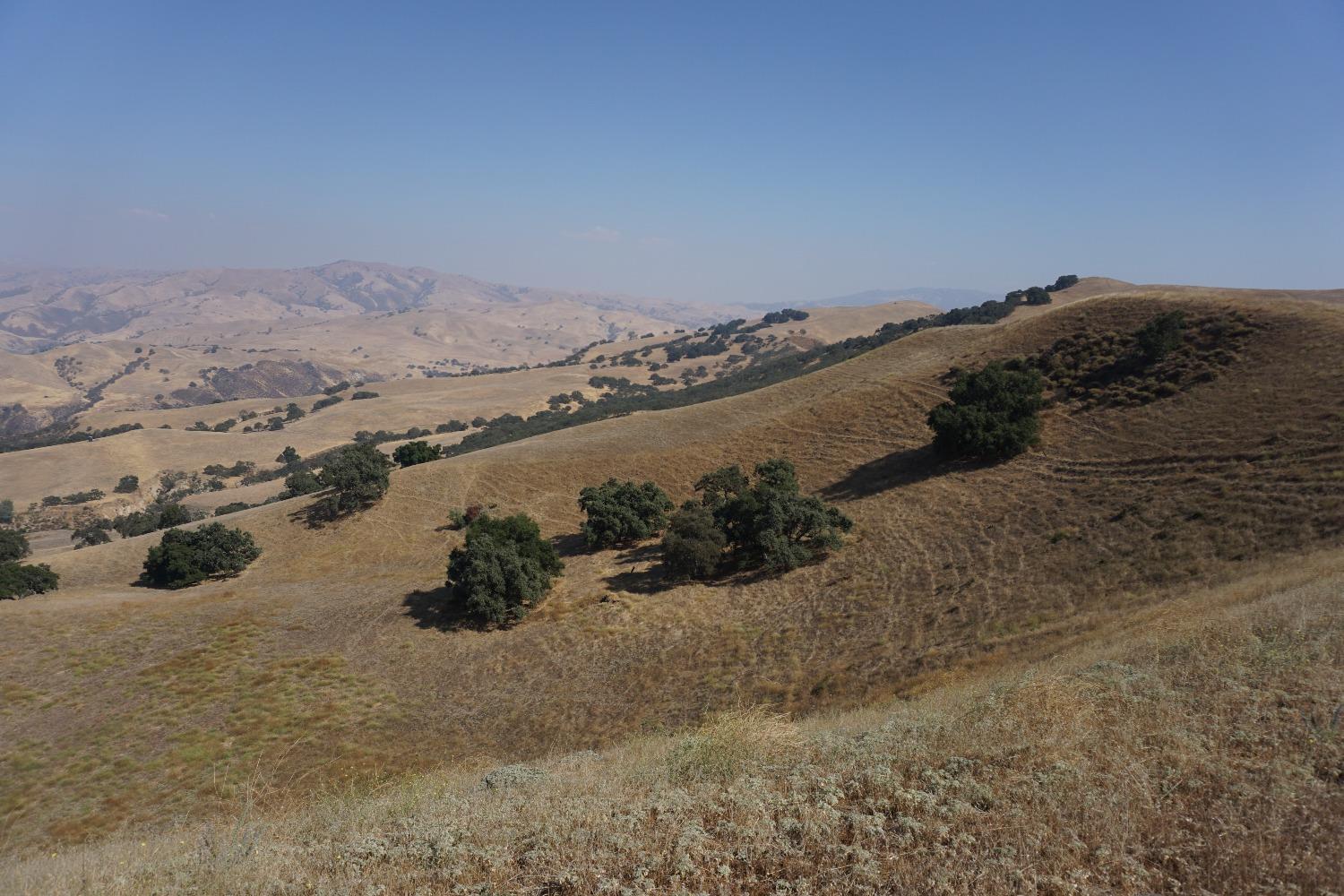 Panoche Rd, Paicines, California image 32