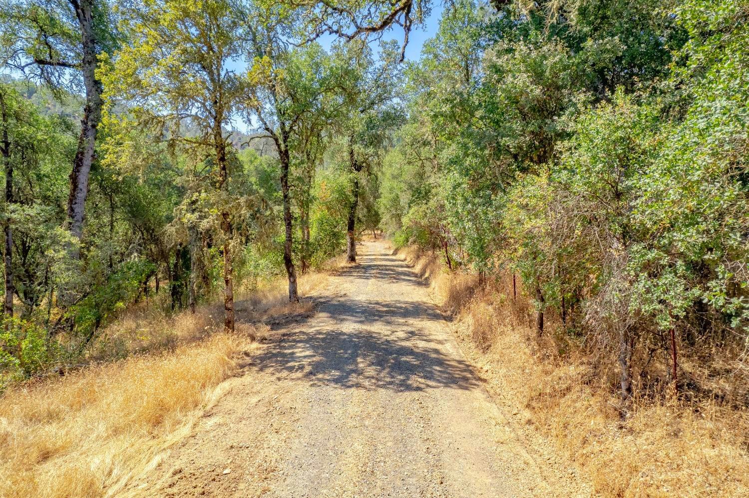 Clark Mountain Road, Lotus, California image 2