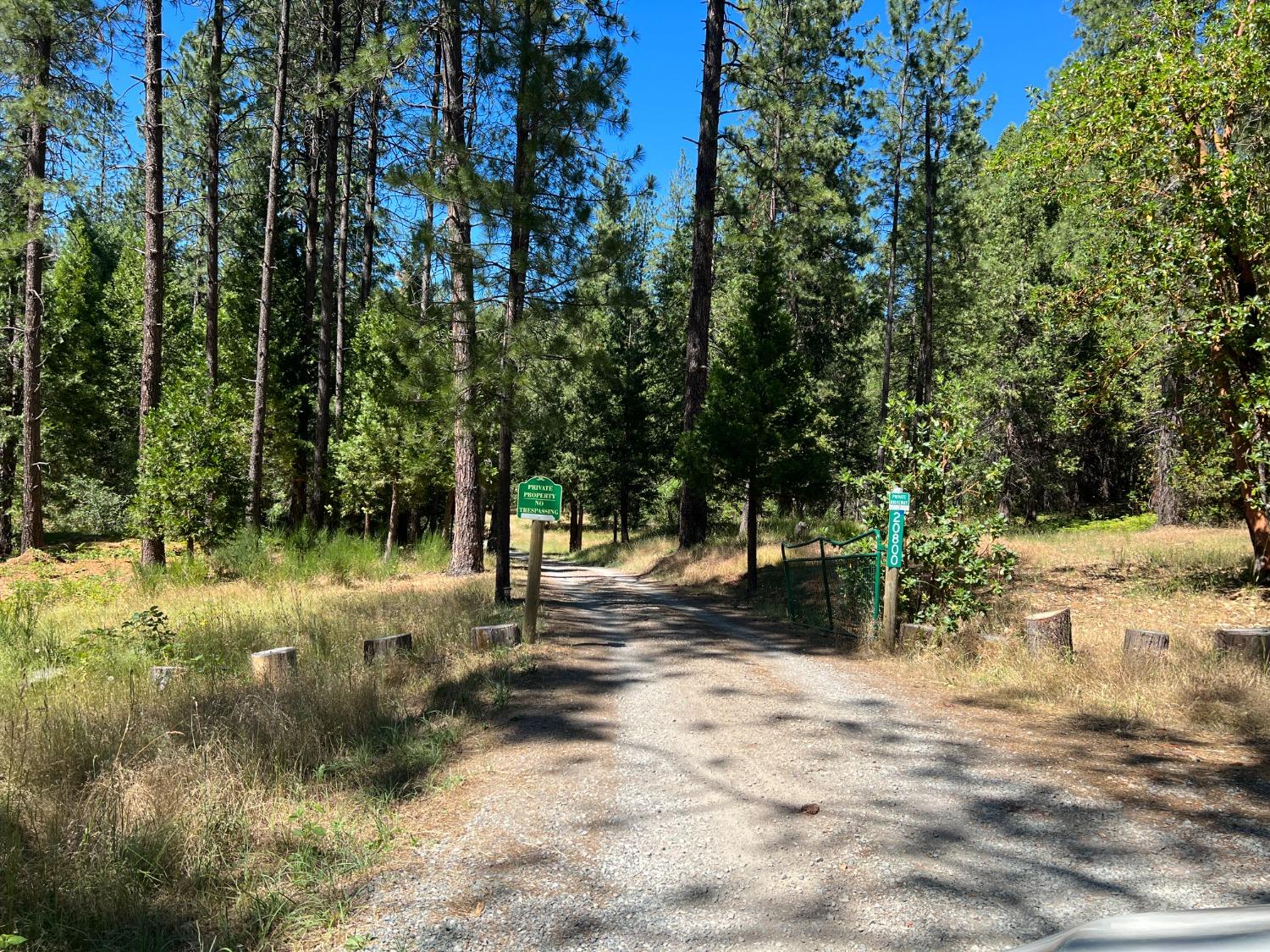 Kuntz Court, Nevada City, California image 5